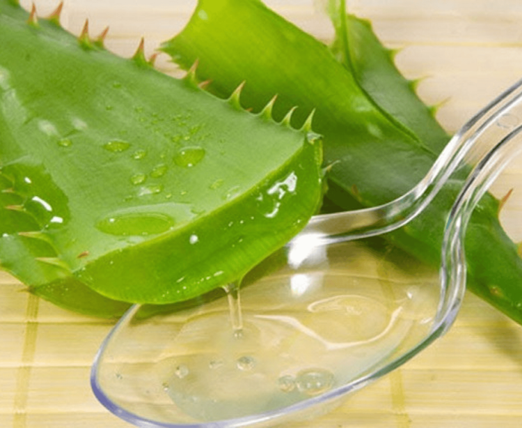 绿豆芦荟甜点：一道清凉解暑、让你由内而外健康美丽的美味佳肴