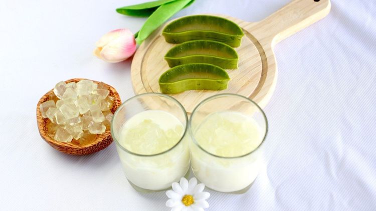 Bầu ăn sữa chua nha đam được không? Có lợi ích gì cho thai kỳ?