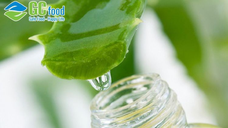 What is aloe vera extract? Discover its benefits for the skin