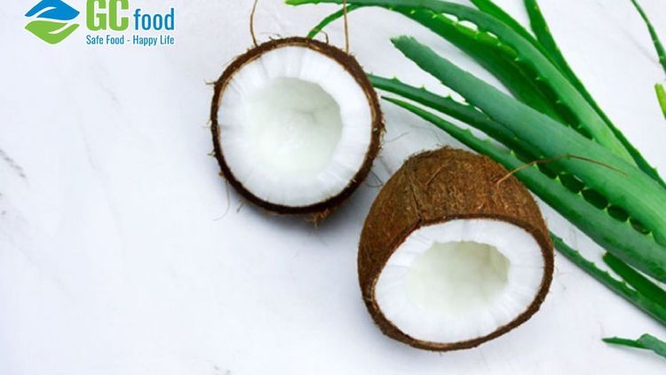 Cách làm dầu dừa lô hội dưỡng da và tóc đơn giản ngay tại nhà