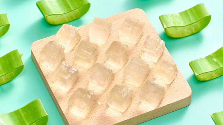 Cách nấu nước nha đam đường phèn thơm ngon và không bị nhớt