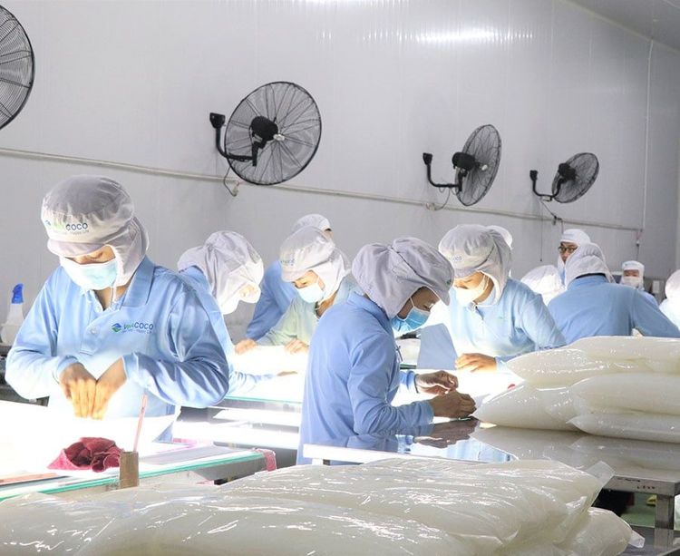 Nhà sản xuất thạch dừa lớn nhất Việt Nam – VINACOCO nhận Giải thưởng Chất lượng Quốc gia