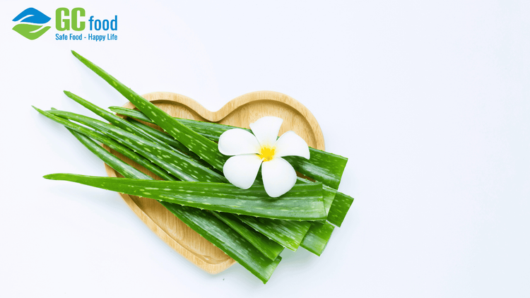 Cách nấu cháo nha đam dưỡng nhan đơn giản giúp thanh nhiệt, đẹp da