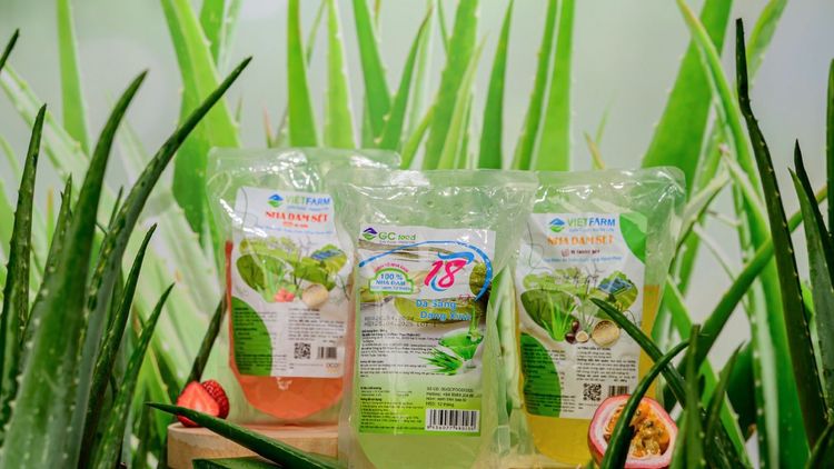 Công thức nấu chè nha đam long nhãn thanh mát, giải nhiệt tại nhà