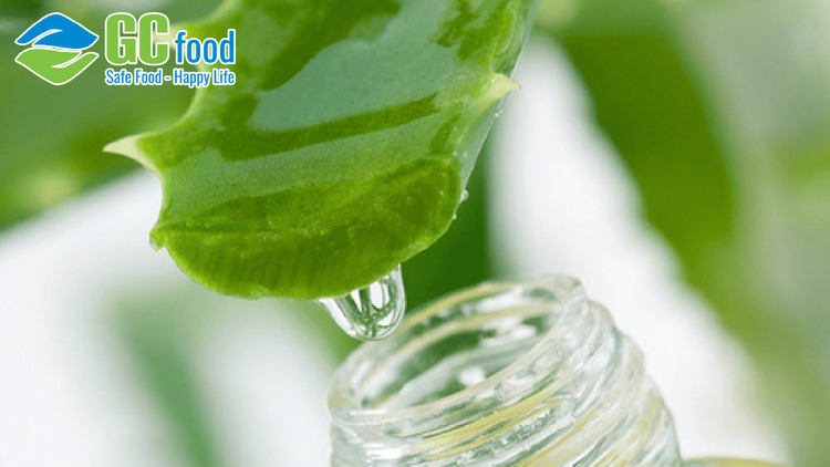 Chiết xuất lô hội là gì? Khám phá những lợi ích tuyệt vời cho làn da