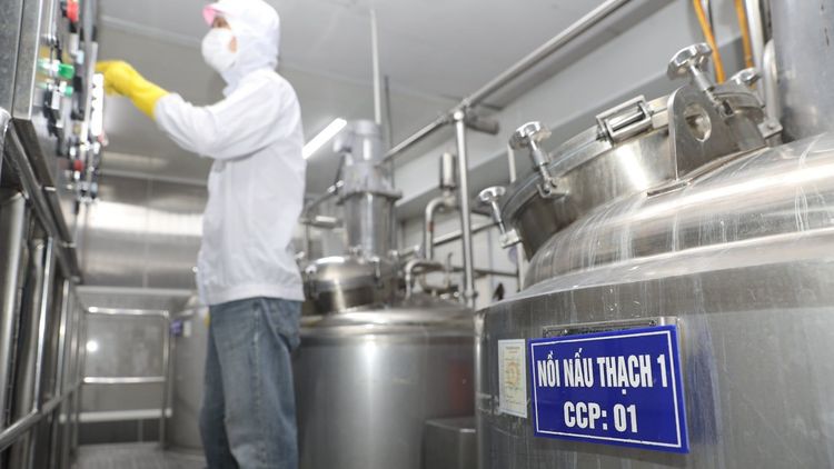 Thanh trùng là gì? Công nghệ thanh trùng Pasteur hiện đại tại GC Food