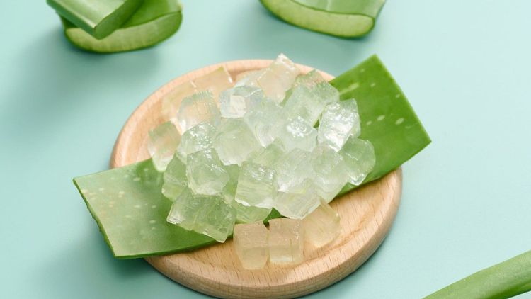 Hướng dẫn dùng gel nha đam trị bỏng an toàn và ngừa thâm sẹo