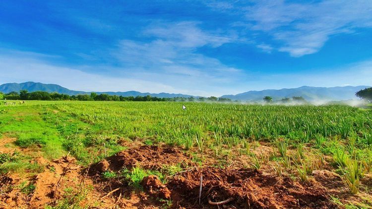 GC Food and the journey of bringing sustainable agriculture into practice