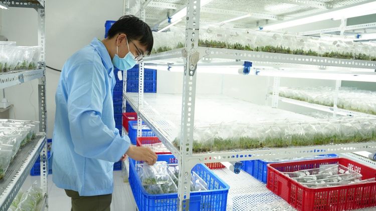 HACCP là gì? Lợi ích và cách ứng dụng vào quy trình sản xuất thực phẩm
