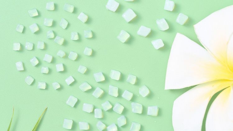 GC Food nata de coco: Value of Vietnamese coconuts