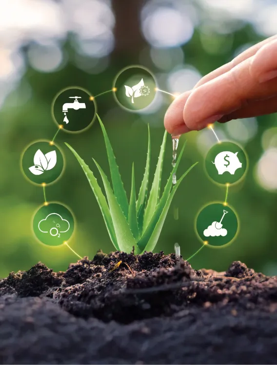 Công Ty Cổ Phần Thực Phẩm G.C