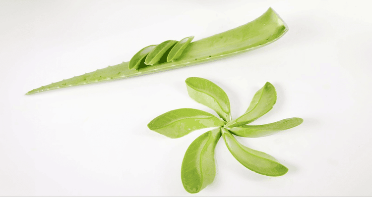 Using pre-processed, high-quality natural aloe vera from a trusted brand like GC Food can save time and ensure food safety.