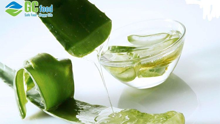 Ăn nha đam có đẹp da không? Gợi ý 5 món nha đam giúp dưỡng da tại nhà