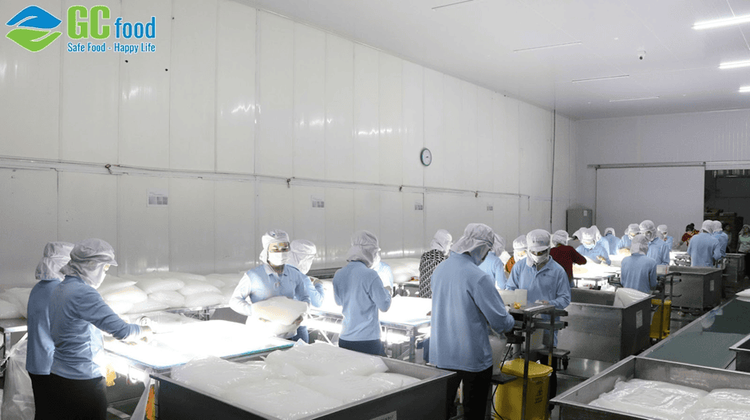 FDA Certification and the Benefits It Brings to GC Food