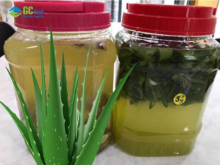 How to make organic aloe vera enzyme for orchids and soil improvement