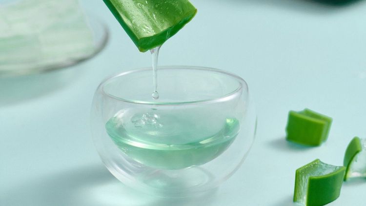 Is the slimy gel in natural aloe vera really good for your health?