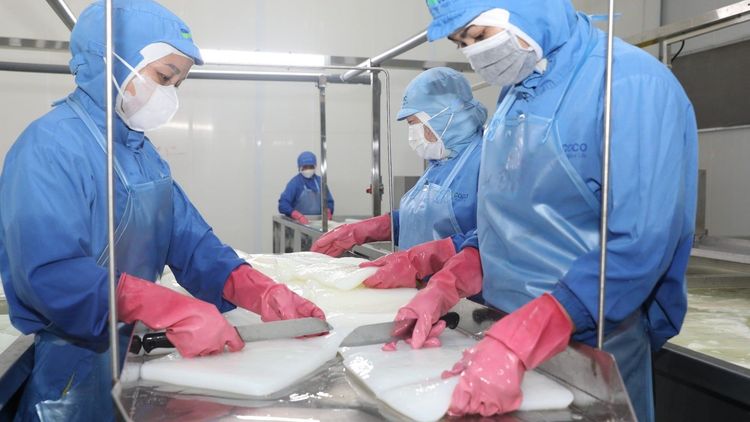 Quy trình kiểm soát chất lượng sản phẩm thạch dừa của GC Food