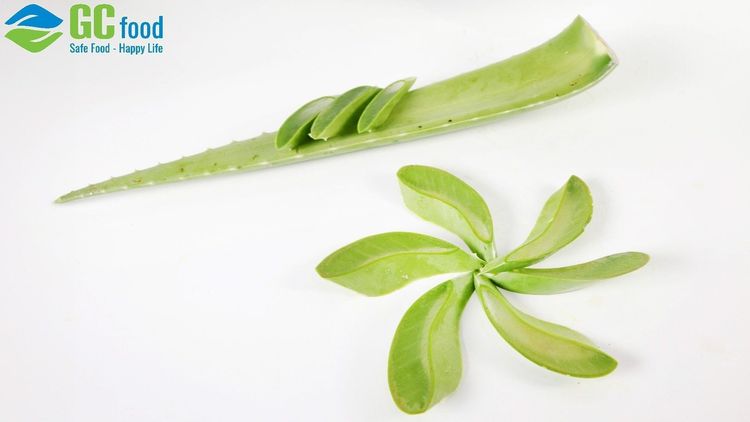 Tìm hiểu về Nha đam: Tác dụng, cách chế biến và lưu ý khi dùng