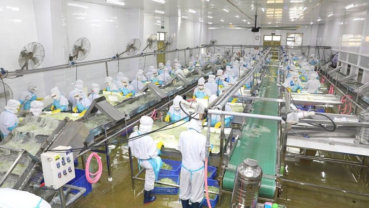 Bật mí cách làm nha đam hết nhớt, giảm đắng cho món ăn ngon hơn