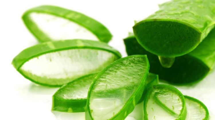 Benefits and 4 ways to use aloe vera for skin beauty