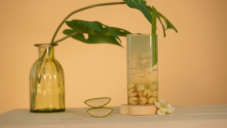 Easy way to make aloe vera chia seed drink with lotus seeds