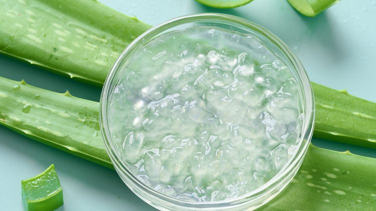 Aseptic là gì? Cách GC Food ứng dụng Aseptic để sản xuất nha đam
