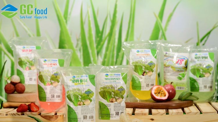 Nha đam có collagen không? Sự thật khoa học và những lưu ý quan trọng