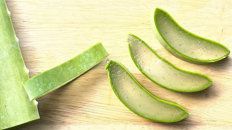 10 natural aloe vera hair mask recipes to help with hair growth