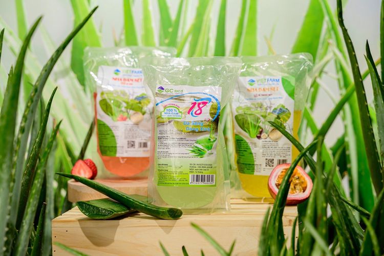 How to make a natural aloe vera sweet soup with mung beans at home