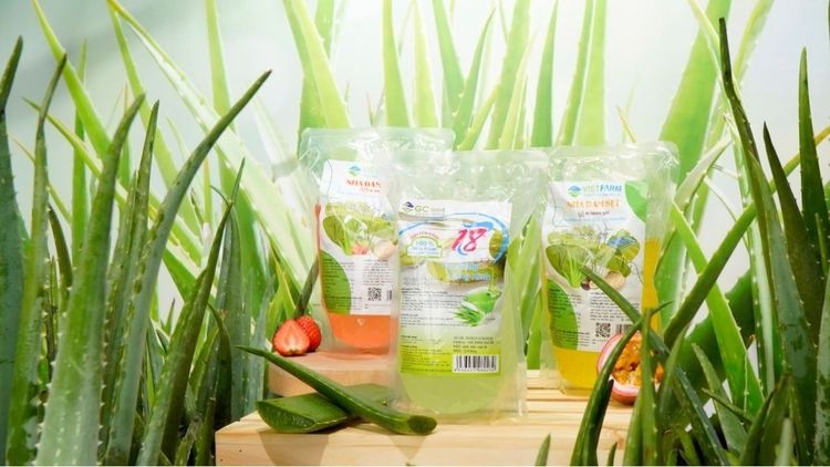 How to store processed natural aloe vera to keep it fresh longer