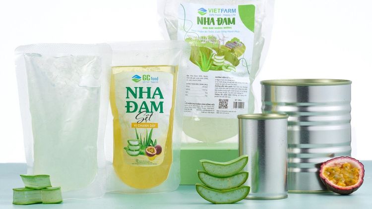 10 tasty recipes with natural aloe vera you can make at home