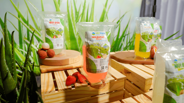 Nha đam làm sẵn GC Food: An toàn, tiện lợi, tiết kiệm thời gian