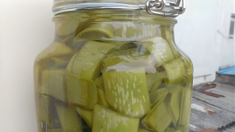 Aloe in Alcohol: Surprising Benefits You Should Know