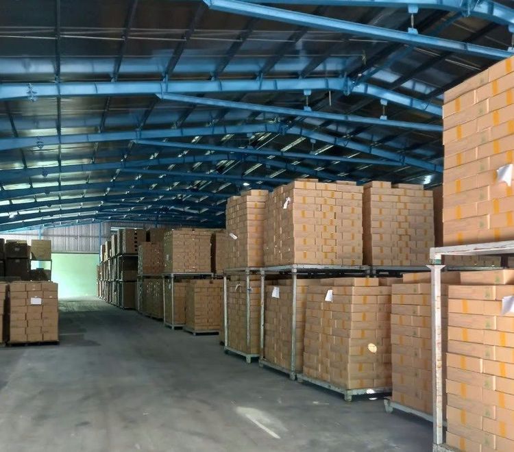 GC Food đảm bảo cung cấp số lượng lớn nha đam xuất khẩu với chất lượng đồng đều.