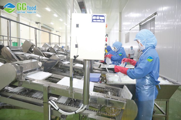 Quy trình khép kín là gì? Dây chuyền sản xuất thạch dừa của GC Food