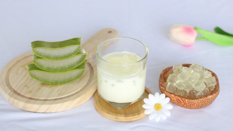 Sữa chua nha đam bao nhiêu calo và ăn mỗi ngày có tăng cân không?