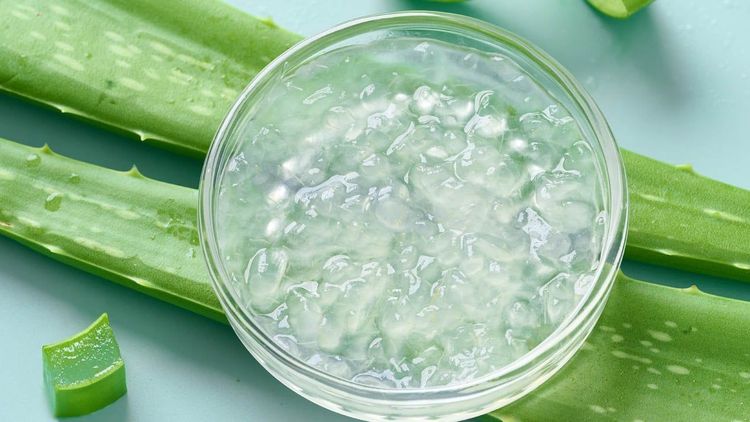 Nước lô hội là gì? Công dụng, cách chế biến, lưu ý khi uống