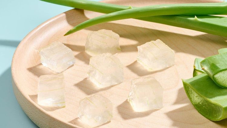 Cách làm thạch nha đam đơn giản tại nhà và thực đơn gợi ý