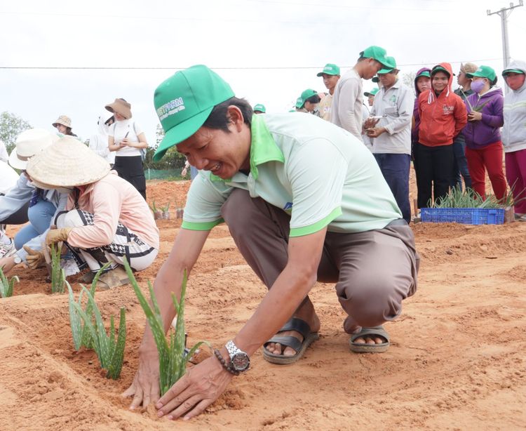 Hưởng ứng Ngày trồng cây 3/3: GC Food cùng TreeBank gieo lộc xuân mới tại Mũi Dinh (Ninh Thuận)