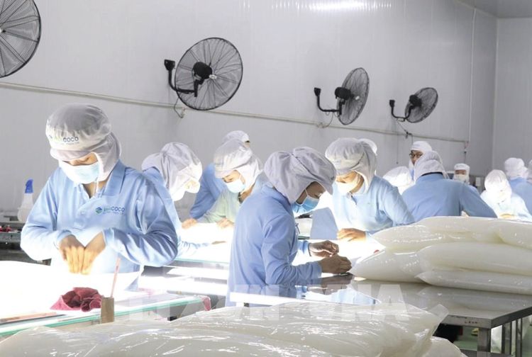 Vietnam's largest coconut jelly producer - VINACOCO receives National Quality Award