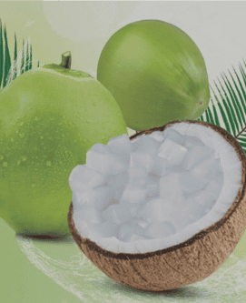 Thạch dừa nguyên liệu