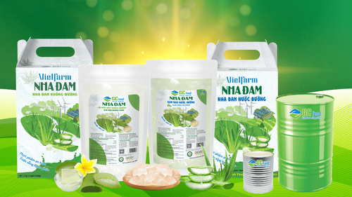 Dây chuyền sản xuất tự động là gì? Phân loại và ứng dụng thực tiễn