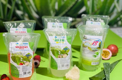 Sản phẩm - Sản phẩm nha đam GC Food: Quy trình sản xuất, cách sử dụng và lưu ý
