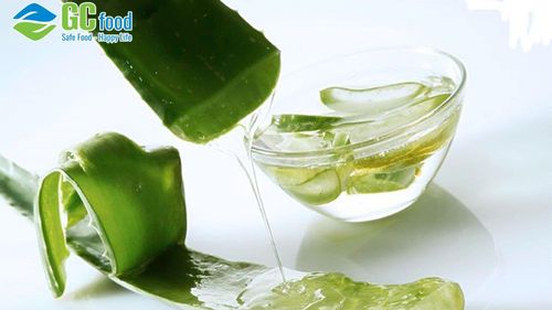 Ăn nha đam có đẹp da không? Gợi ý 5 món nha đam giúp dưỡng da tại nhà